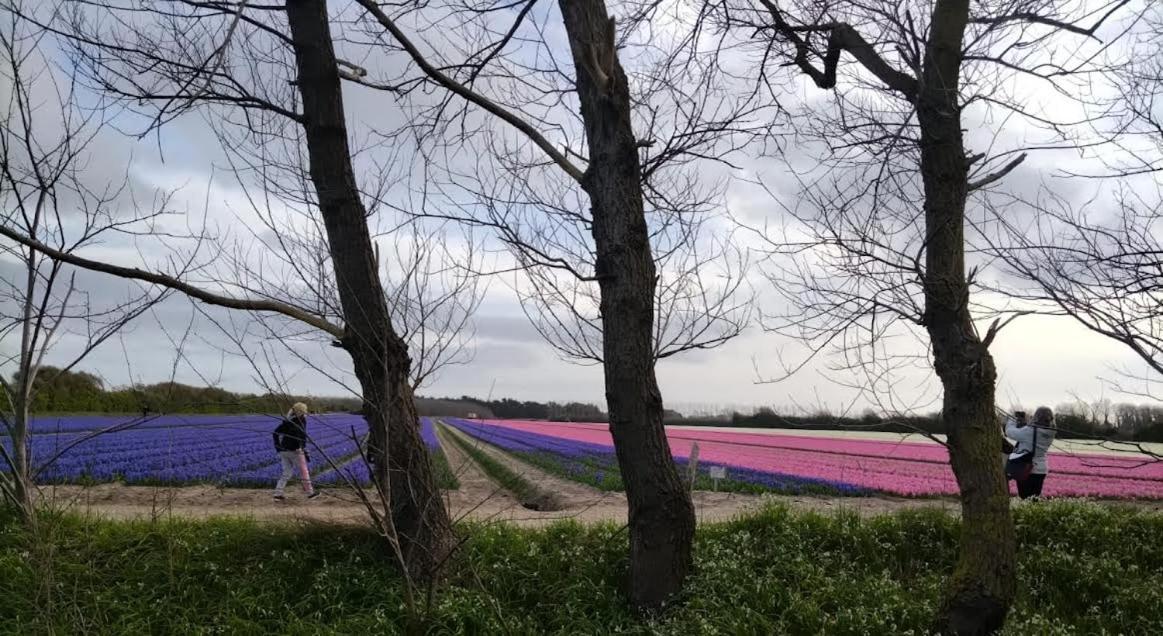 Trouz Ar Mor Villa Penmarc'h Bagian luar foto